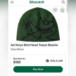 Arc'teryx Black and Green Bird Head Beanie